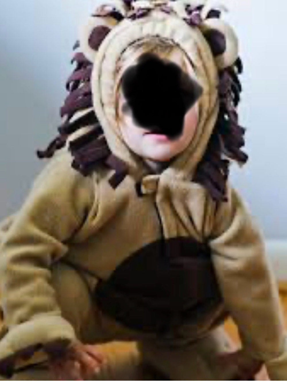 Kids OLD NAVY Lion Costume